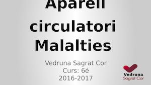 L'aparell Circulatori