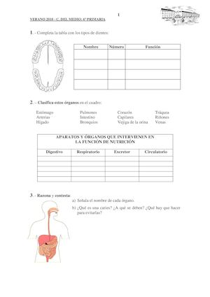 Cono 6 Colegio Romadera