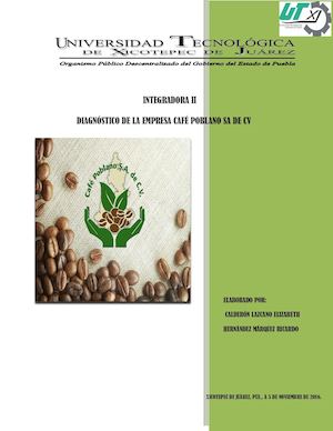 Diagnostico Cafe Poblanodocx