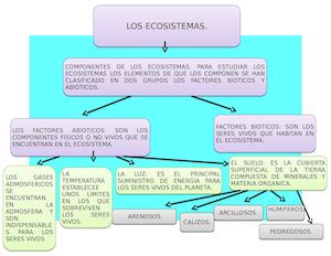Mapa Conseptual Los Ecosistemas