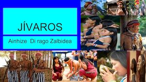 Jivaros