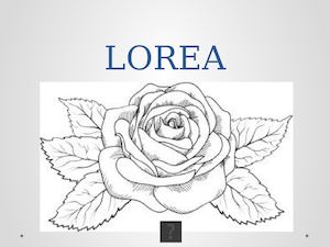 Lorea