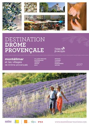 Brochure "professionnels - Produits groupes" 2017