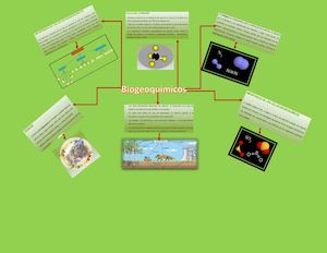 Biogeoquimicos