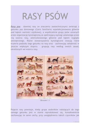 Rasy Psa – Dawniej Rasy (W Znaczeniu Zootechnicznym) Zwierząt Z Gatunku Psa Domowego (Canis Familiaris) Wyselekcjonowana Głównie Pod Kątem Wartości Użytkowej, A Współcześnie Grupy Psów Uznanych Przez Organizację Kynolog