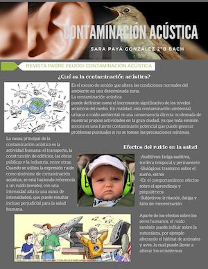 Contaminación acústica
