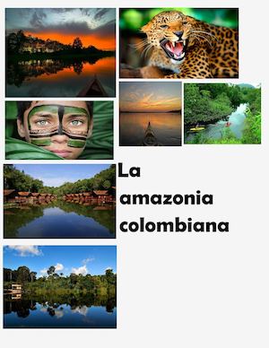 La Amazonia Colombiana