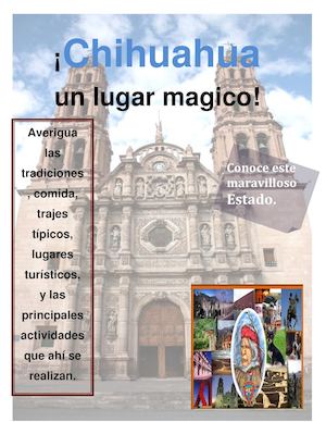 Chihuahua Docx