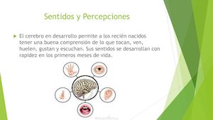 Sentidos y Percepciones
