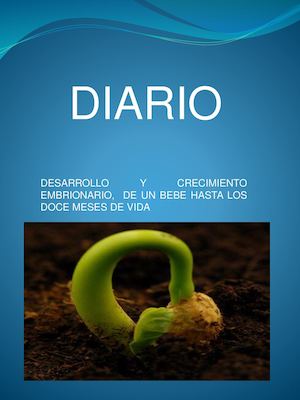 Francisco Javier Desarrollo Embrionario