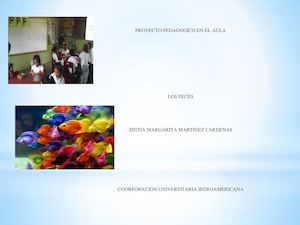 Proyecto Los Peces Zintia