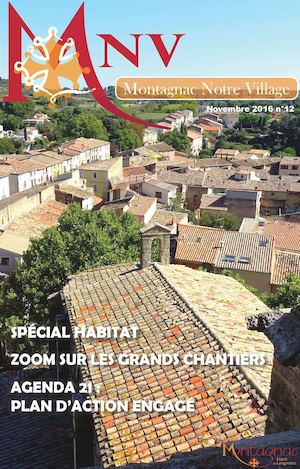 MNV 12 NOVEMBRE 2016