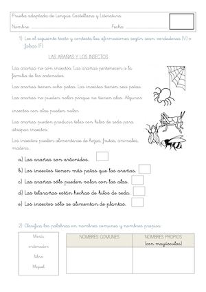 Prueba Adaptada De Lengua Castellana Y Literatura