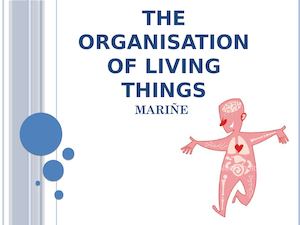 The Organisation Of Living Things