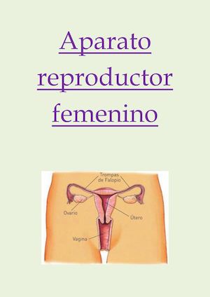 Aparato Reproductor Femenino