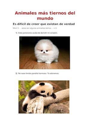 Animales Más Tiernos Del Mundo