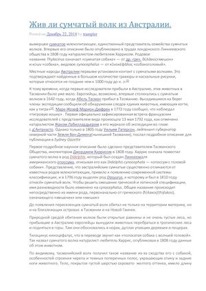 сумчатый волк