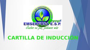 Empresa Emserfusa