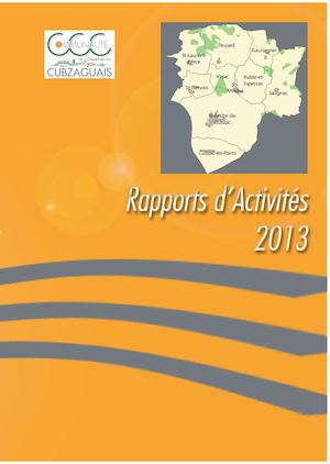 Rapport Définitif Pdf