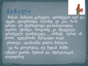 მამალი 24 04