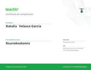 TEACHLR CERTIF Neuroanatomia