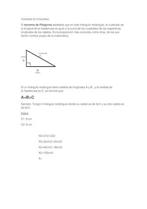 Documento (4)