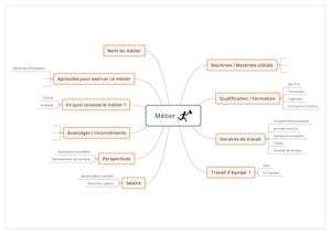 Carte Identite Metier