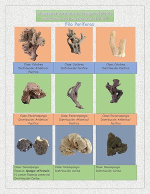 Guía De Campo Completa