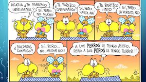 Historietas De Gaturro