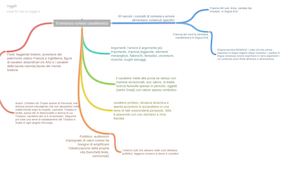 Il Romanzo Cortese Cavalleresco