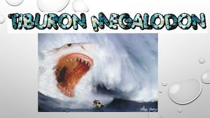 9.-  Asier Basterretxea. Tiburón Megalodón