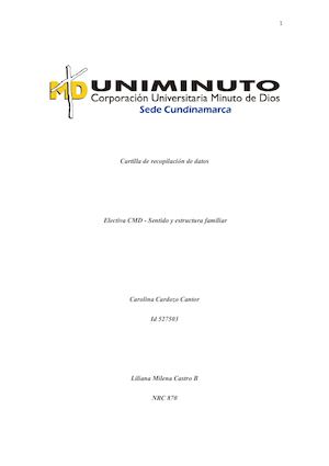 Electiva CMD Sentido y Estructura Familiar