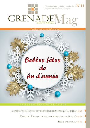 BM11 Dec2016 Calameo