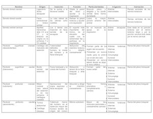 Músculos de el tronco