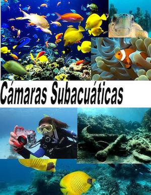 Cámaras Subacuáticas