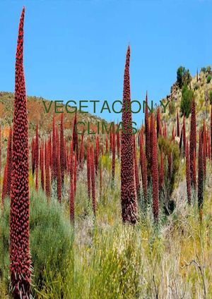 Vegetacion