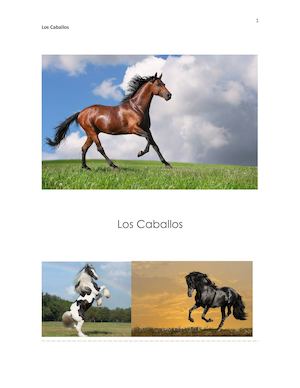 Los Caballos