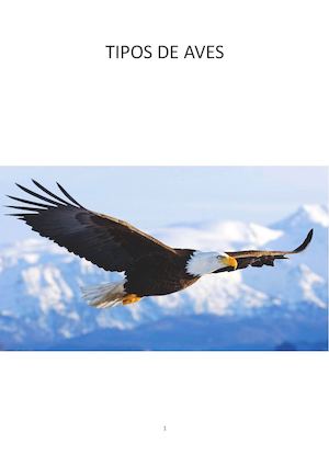 Tipos De Aves