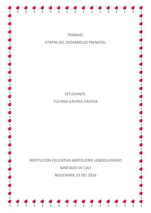 ETAPAS DEL DESARROLLO PRENATAL