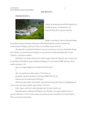 Problematica Rio Bogota