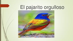 Cuento Pajarito Orgulloso