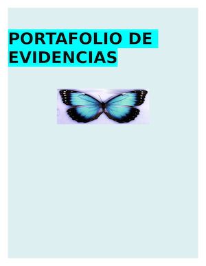 Portafolio Nivel 2