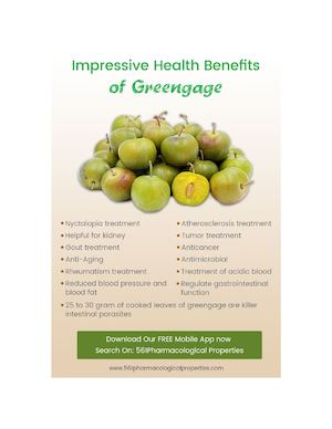 Greengage Fruit Health Advantages