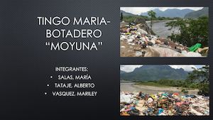 Tingo Maria Moyuna