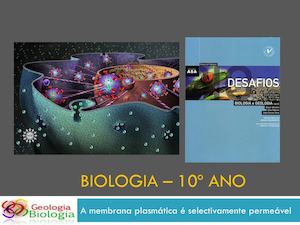 Membranaselectivatransporte