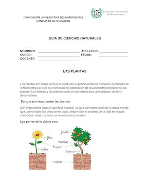 Guia 3 Las Plantas