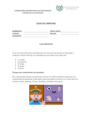 Guia 8 Los Sentidos