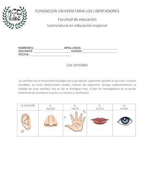 Guia De Los Sentidos