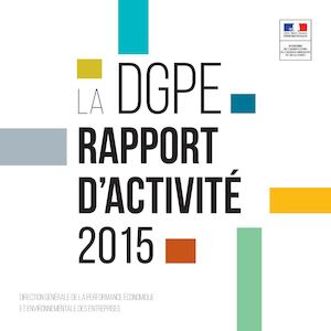 Rapport D'activité DGPE 2015