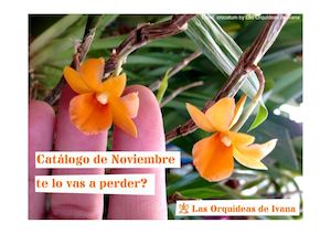 Novedades Noviembre 2016